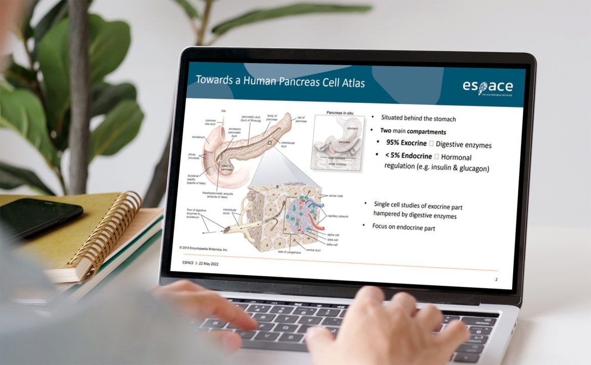 Webinar recap: Building a Human Cell Atlas of the Pancreas